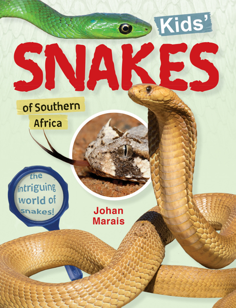 Kids’ snakes of Southern Africa