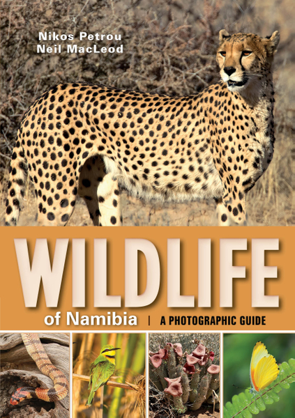 Wildlife of Namibia