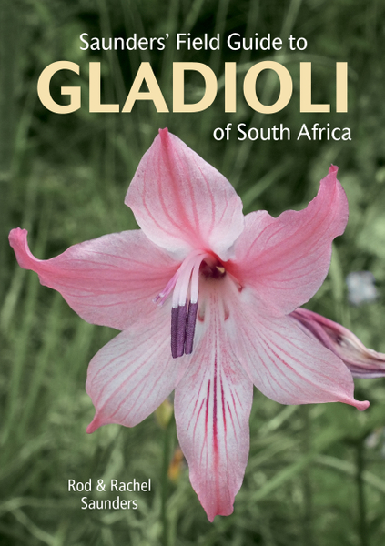 Saunders’ Field Guide to Gladioli of South Africa