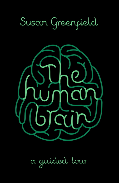 The Human Brain