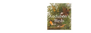 Audubon's Birds