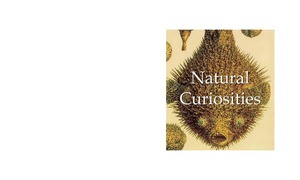 Natural Curiosities