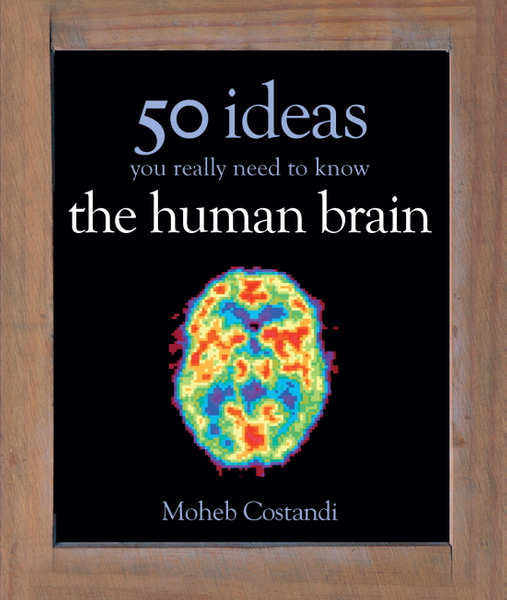 50 Human Brain Ideas You Really Need to Know