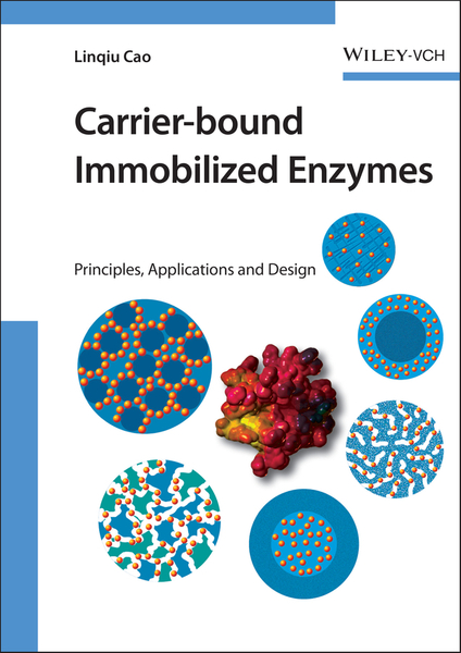 Carrier-bound Immobilized Enzymes