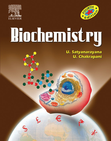 Biomolecules and the cell