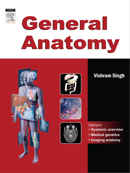 Radiological (Imaging) Anatomy