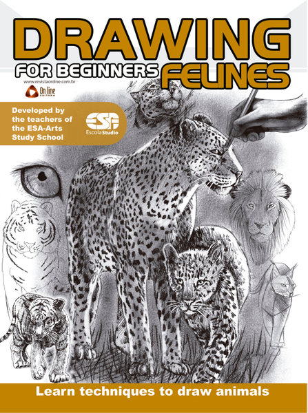 Drawing For Beginners - Felines