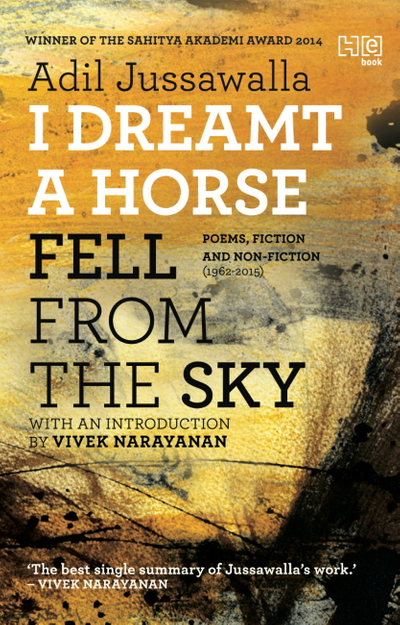 I Dreamt a Horse Fell from the Sky